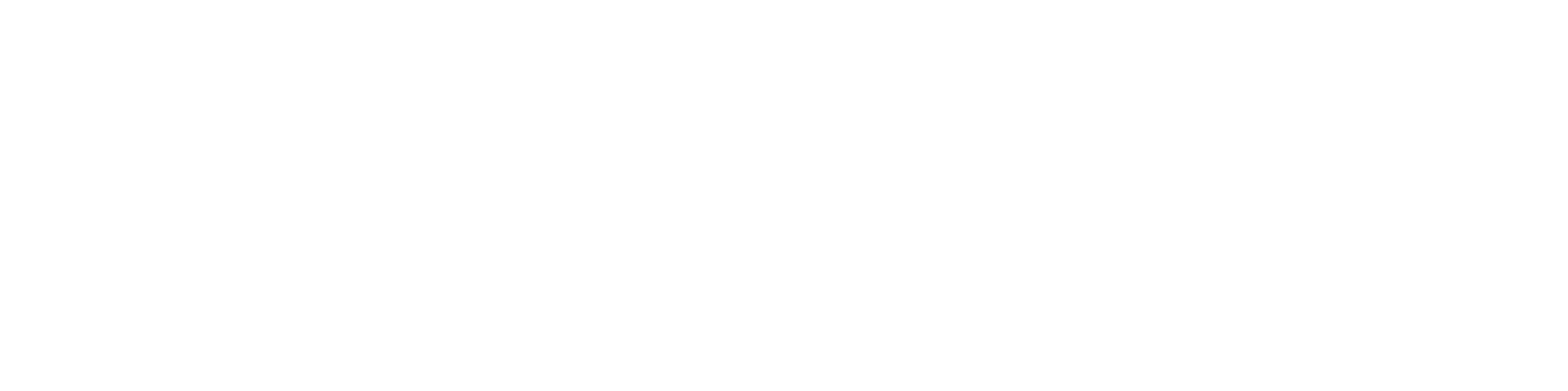 Vitalidad Magazine Logo